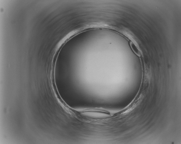 X0000083611245200702201241