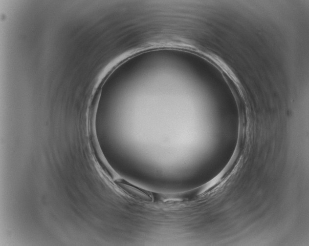 X0000083611246200702201241