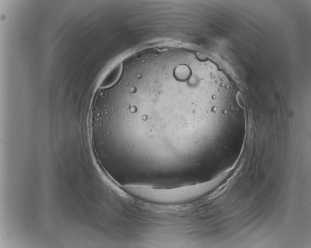 X0000083611247200702201241