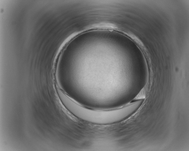 X0000083611248200702201241