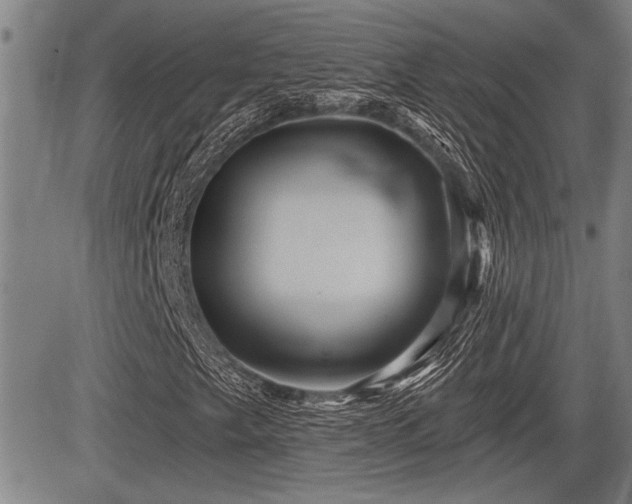 X0000083611249200702201240