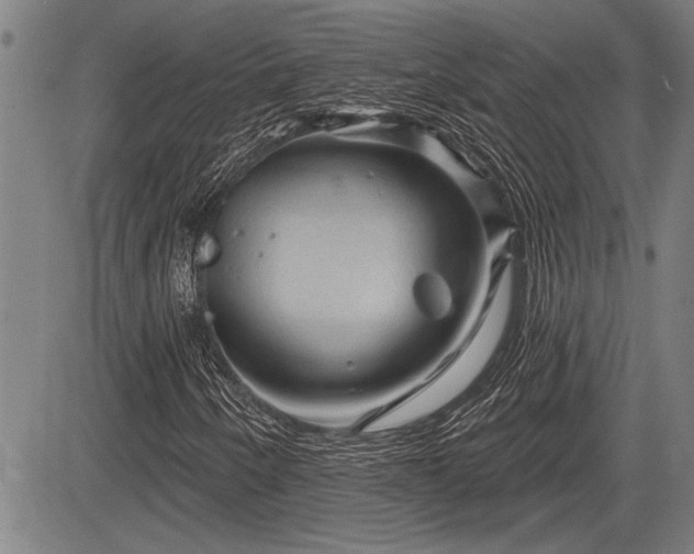 X0000083611250200702201240