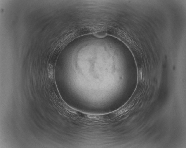 X0000083611251200702201240