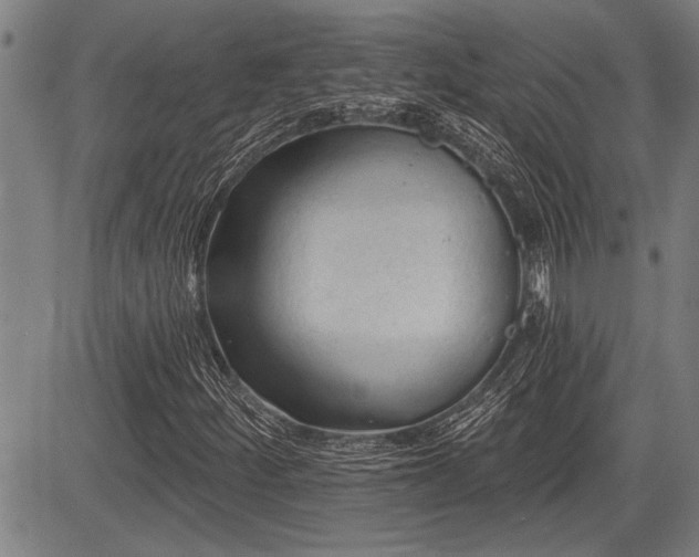 X0000083611252200702201240