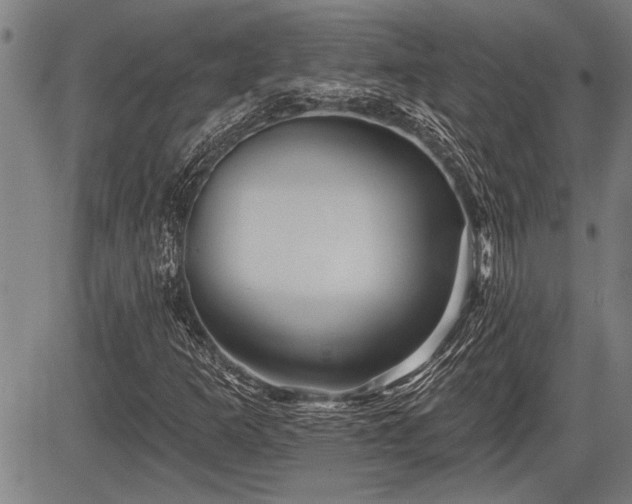 X0000083611253200702201240