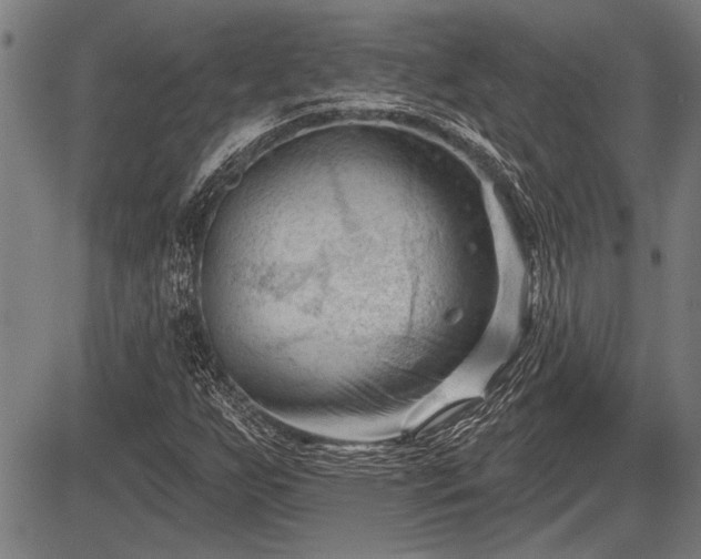 X0000083611255200702201240