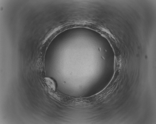 X0000083611256200702201240