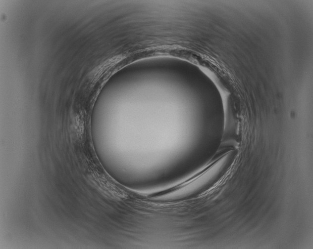 X0000083611257200702201240