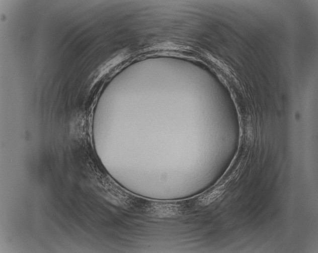 X0000083611258200702201240