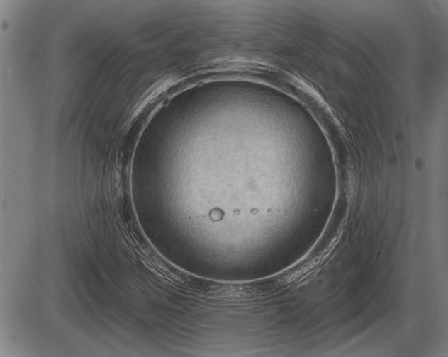 X0000083611259200702201240