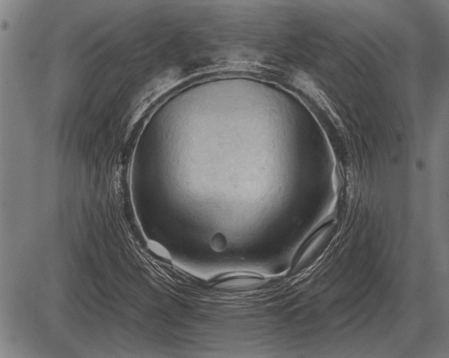 X0000083611260200702201240