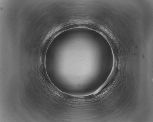 X0000083611261200702201240