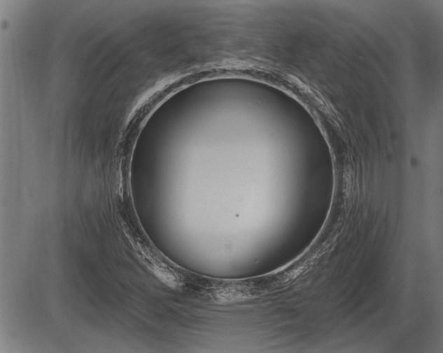 X0000083611262200702201240