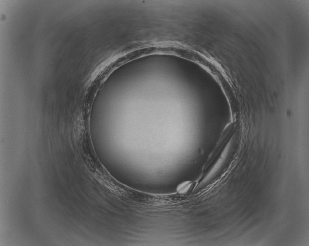 X0000083611263200702201240