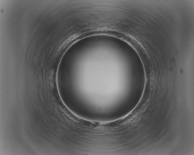 X0000083611265200702201240