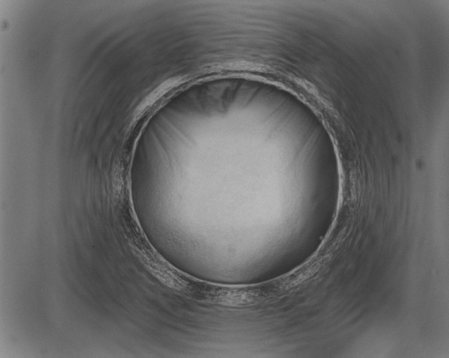 X0000083611266200702201240