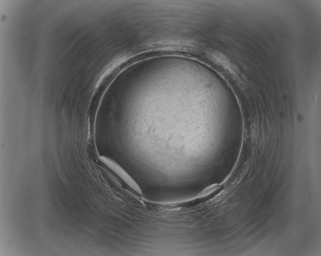 X0000083611267200702201240