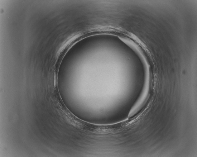 X0000083611269200702201240