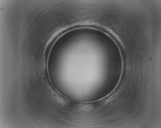 X0000083611270200702201240