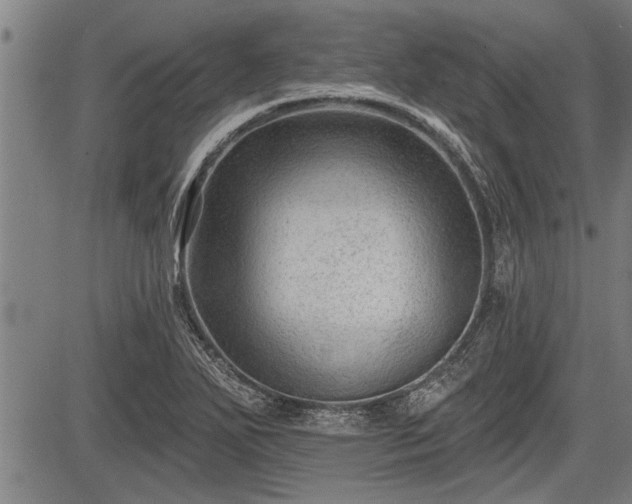 X0000083611271200702201240