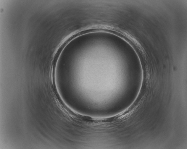 X0000083611272200702201240