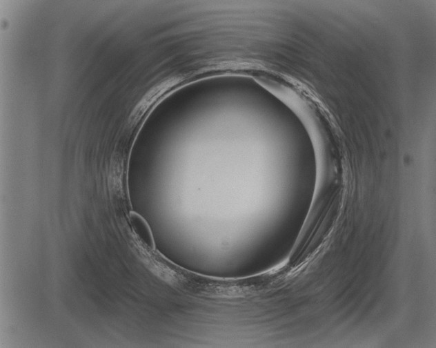 X0000083611273200702201240