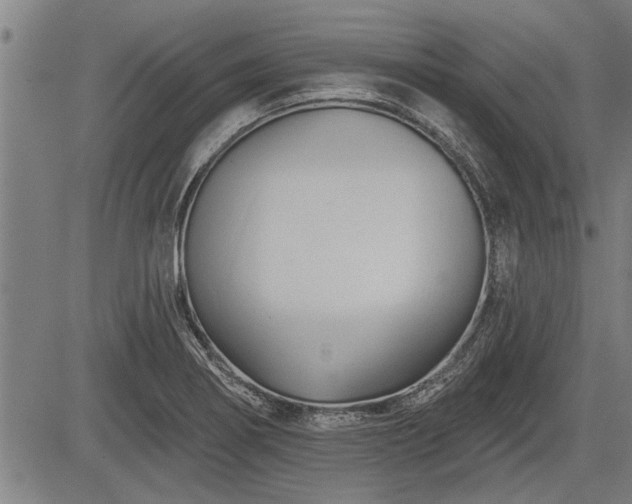 X0000083611274200702201240