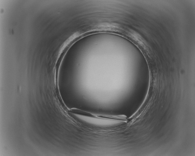 X0000083611275200702201240