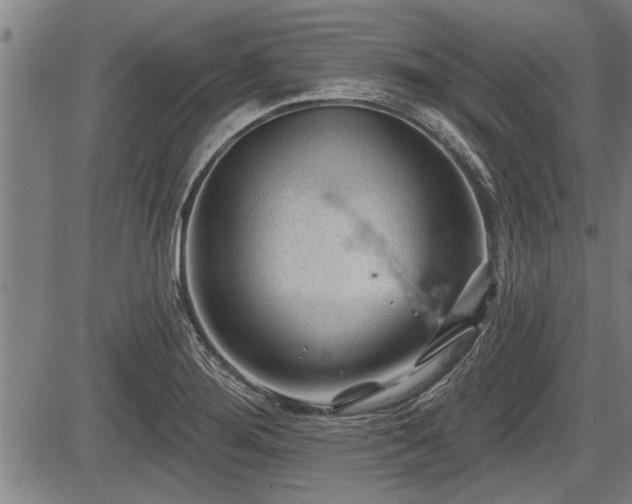 X0000083611276200702201240