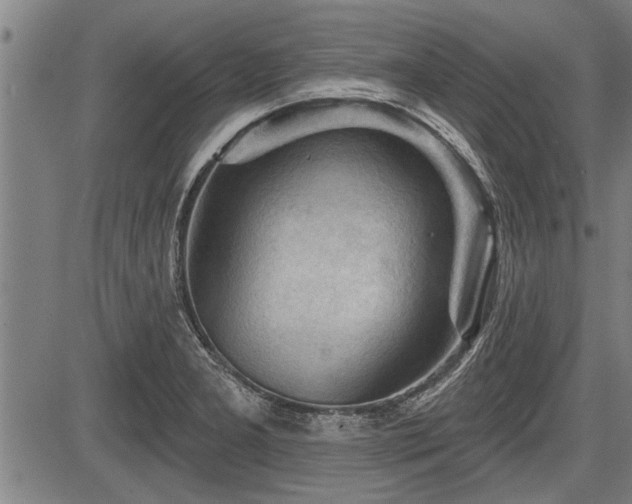 X0000083611277200702201240