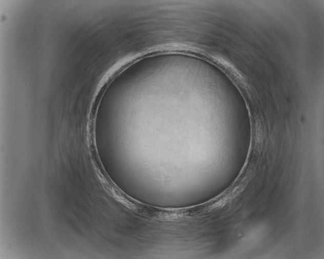 X0000083611278200702201240