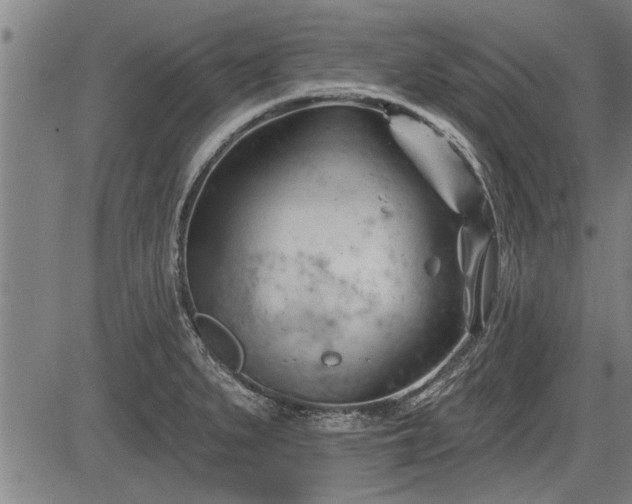 X0000083611279200702201240