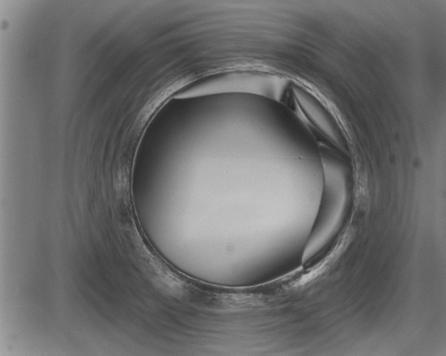 X0000083611281200702201240