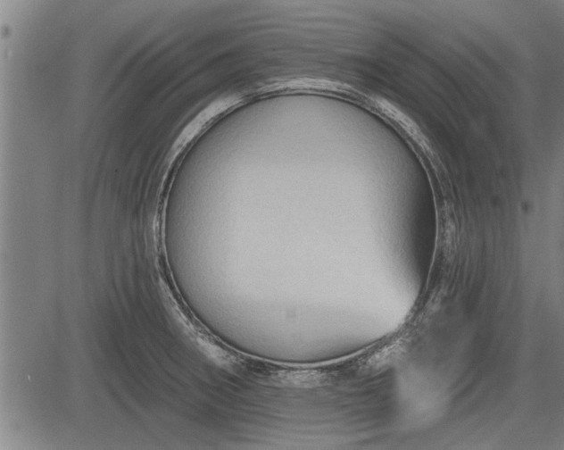 X0000083611282200702201240