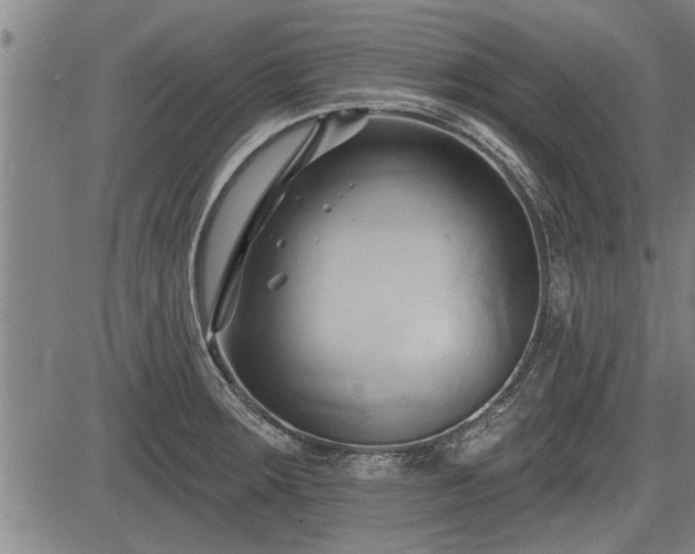 X0000083611283200702201240