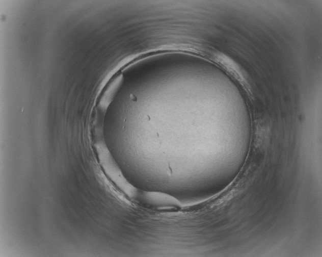 X0000083611284200702201240