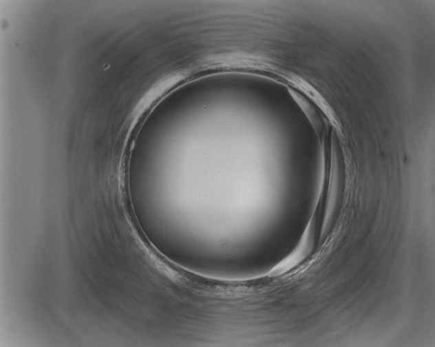 X0000083611285200702201240