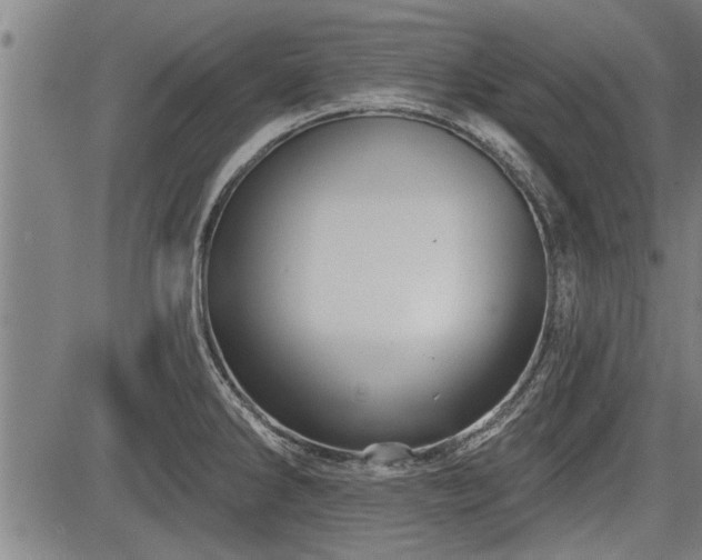 X0000083611286200702201240