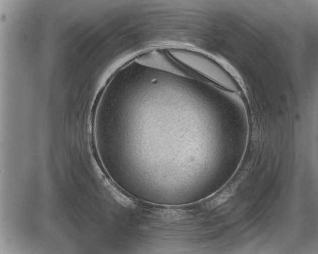 X0000083611287200702201240