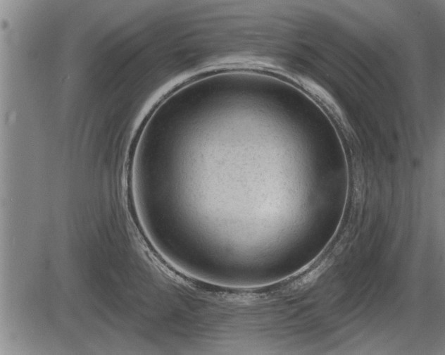 X0000083611288200702201240