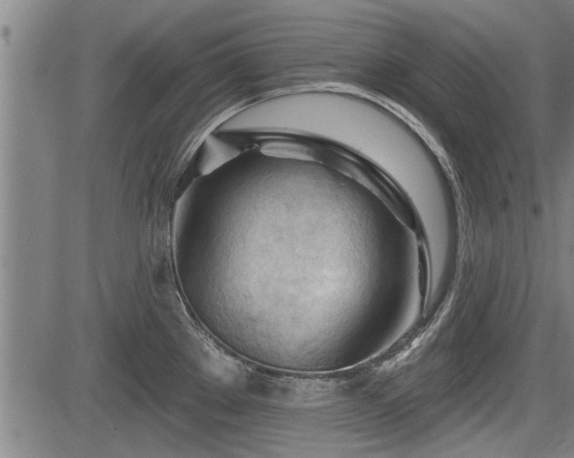 X0000083611289200702201240