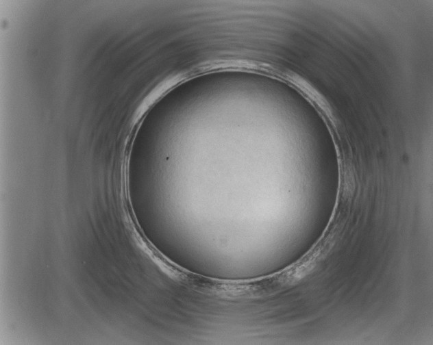 X0000083611290200702201240