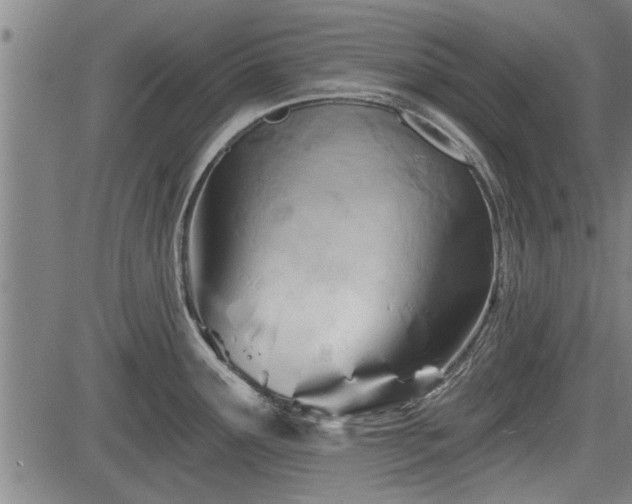 X0000083611291200702201240