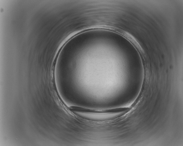 X0000083611292200702201240