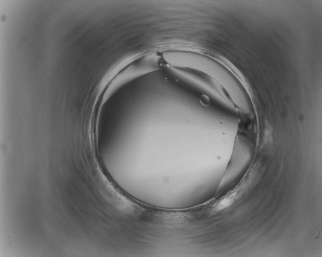 X0000083611293200702201240