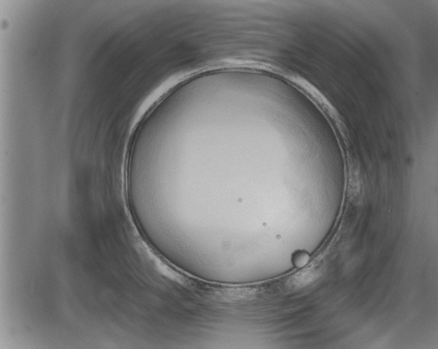 X0000083611294200702201240