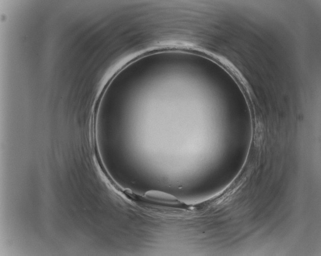 X0000083611295200702201240