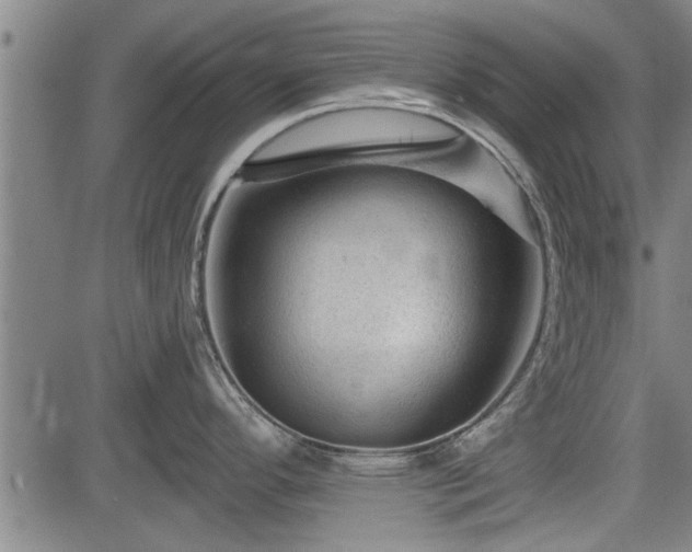 X0000083611296200702201240