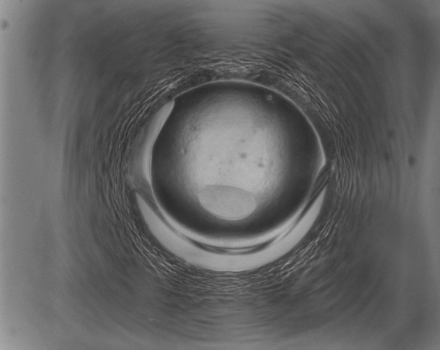 X0000083611297200702201239