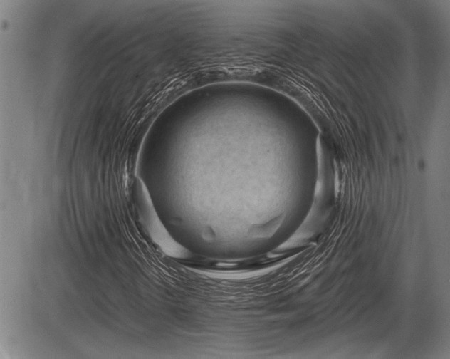 X0000083611298200702201239